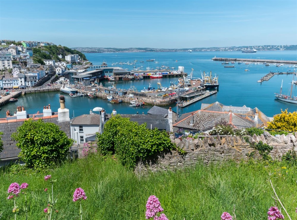 Surrounding area at Steps End in Brixham, Devon