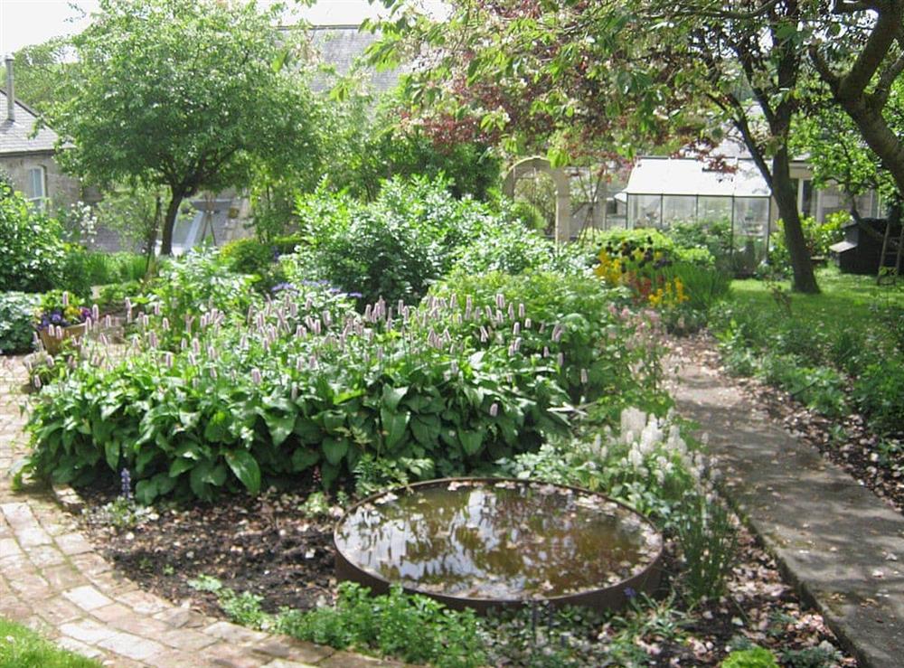 Garden at Steward Mews in Morpeth, Northumberland