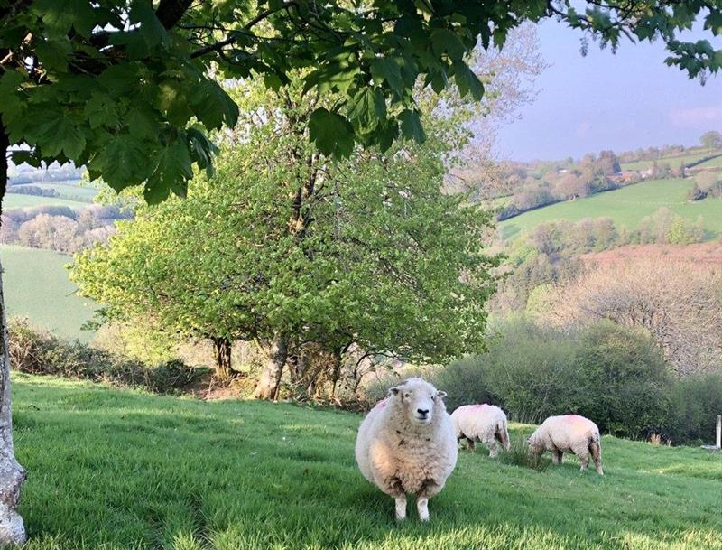 The setting around Stockham Farm