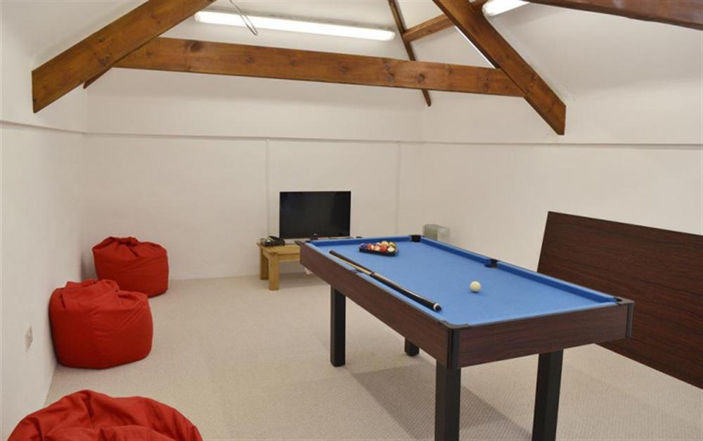 The excellent games room with Pool Table / Table Tennis and large flat screen TV for DVD's at Stoke Cottage in Noss Mayo