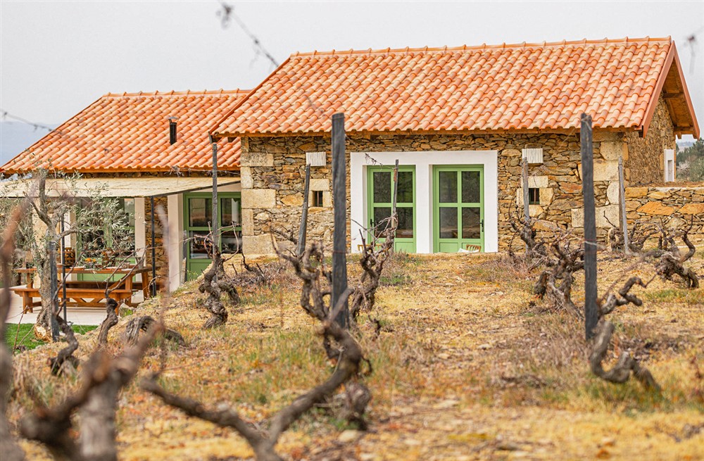 Stone and Wine Villa (photo 14) at Stone and Wine Villa in , Portugal