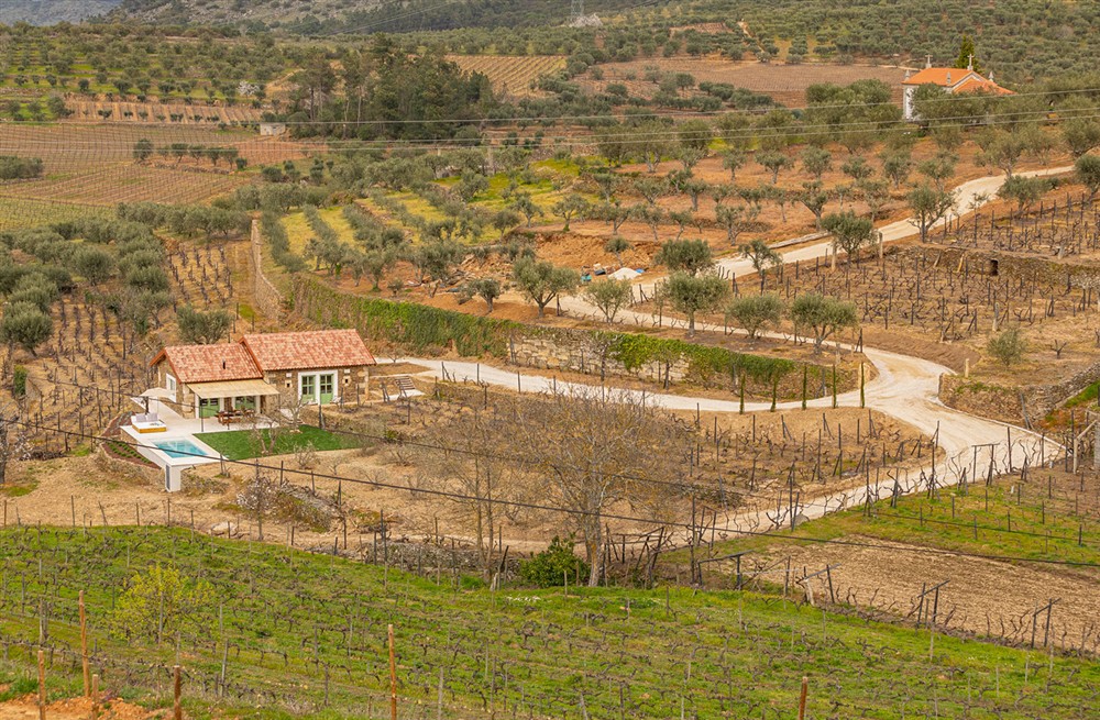 Stone and Wine Villa (photo 23) at Stone and Wine Villa in , Portugal