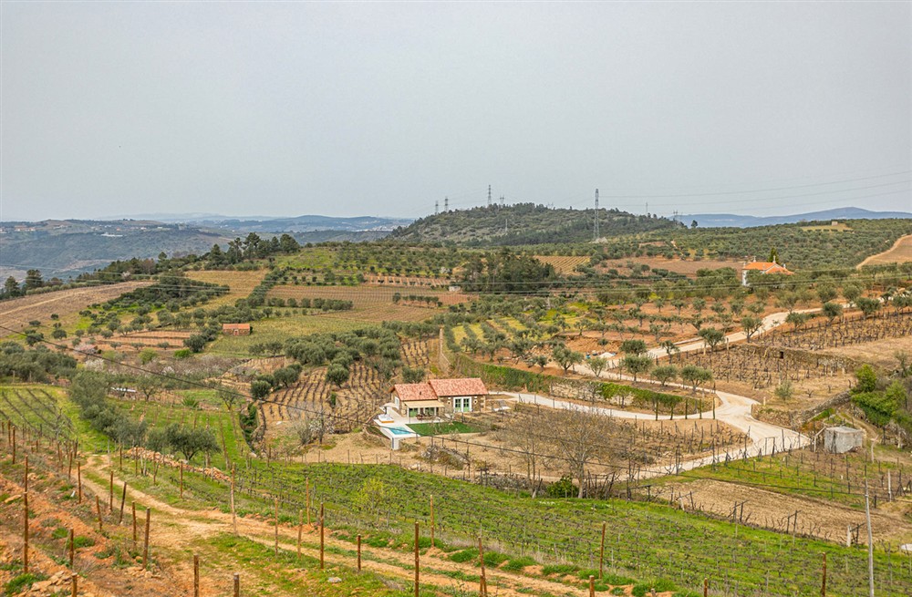 Stone and Wine Villa (photo 9) at Stone and Wine Villa in , Portugal