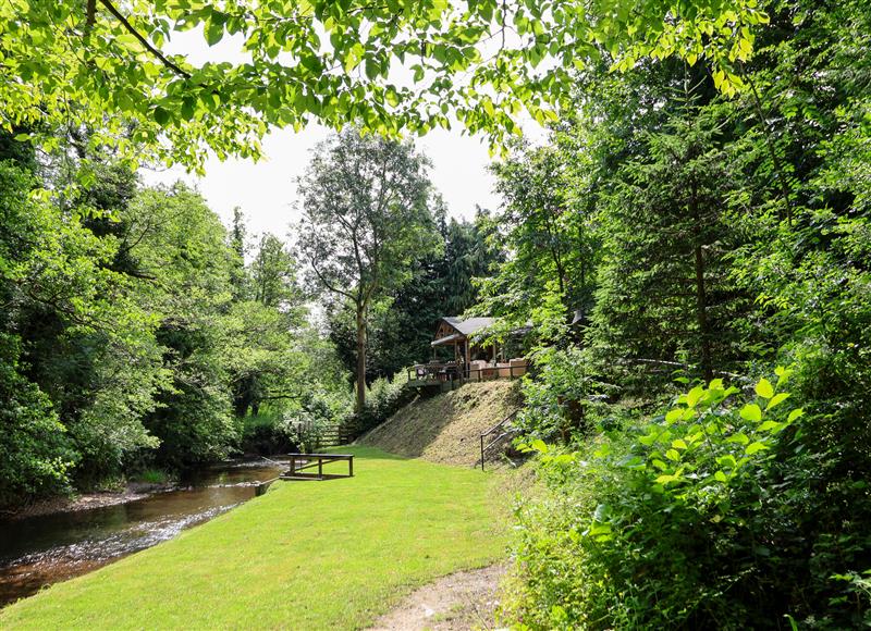 Rural landscape