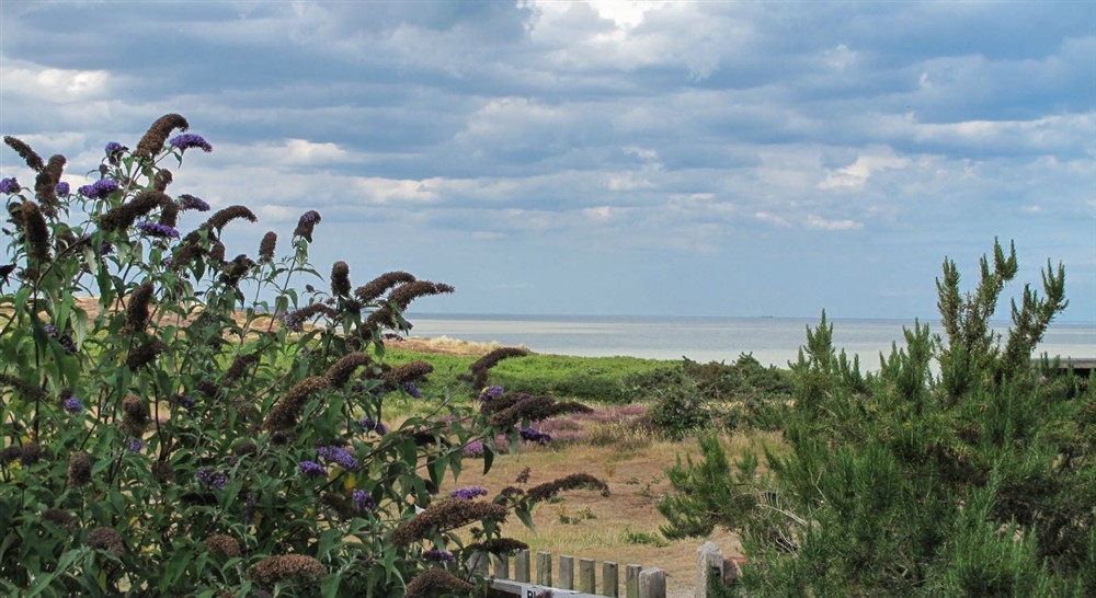 The area surrounding Nightjar, Stonechat and Woodlark, Suffolk (photo 2) at Stonechat in Saxmundham, Suffolk