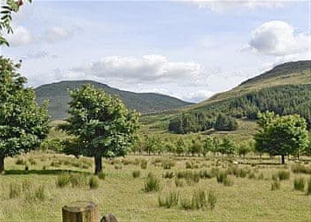 View (photo 2) at Stonefield Farm Cottage in Glen Massan, near Dunoon, Argyll