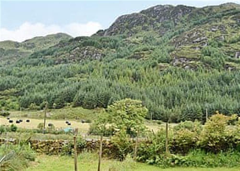 View at Stonefield Farm Cottage in Glen Massan, near Dunoon, Argyll