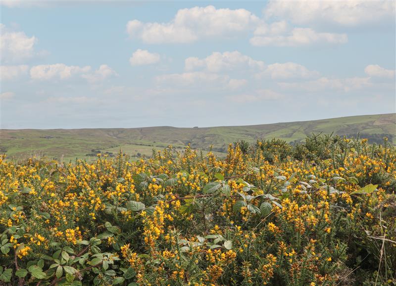 The setting around Stoney Cliffe Farm