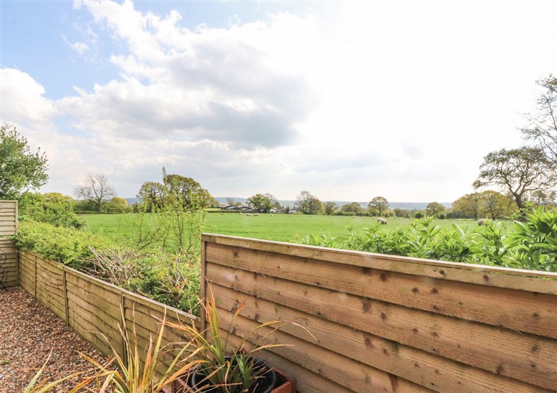 This is the garden at Stoneycross Cottage, near Ribchester