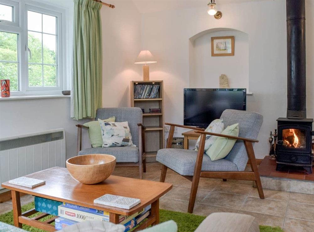 Living area at Stoneyford Cottage in Narberth, Pembrokeshire, Dyfed