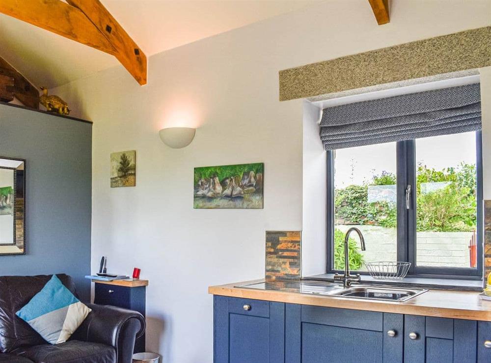 Open plan living space at Stonie Broke Barn in East Taphouse, near Liskeard, Cornwall