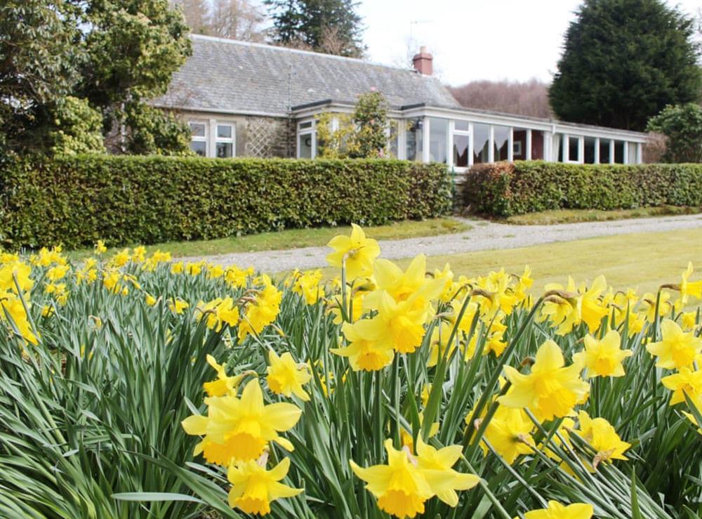 Beautiful Scottish loch side holiday home in the spring sunshine at Strathcashel Cottage in Rowardennan, near Balamaha, Lanarkshire