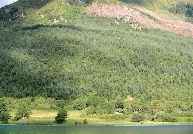 The stunning backdrop of Ben Ledi at Strathyre Forest in Perthshire, Scotland