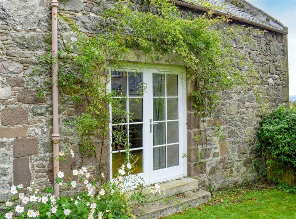 Garden at Straton Cottage in St Cyrus, near Montrose, Aberdeenshire