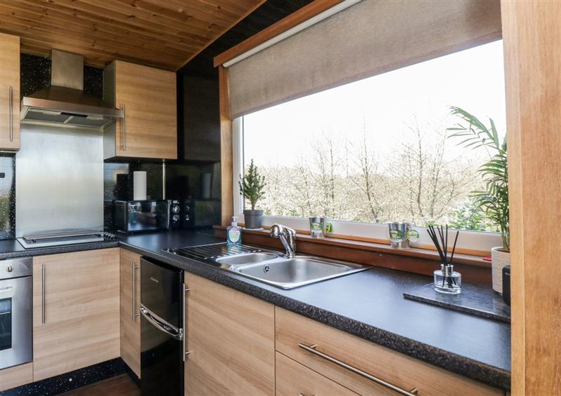 Kitchen at Studio Cabin, Glenboig near Coatbridge