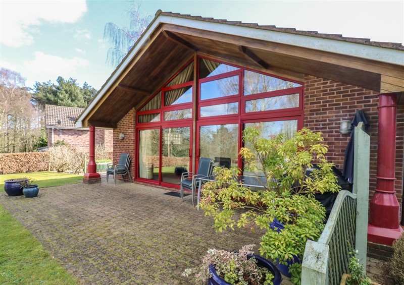 Outside at Studio Cottage, Surlingham near Poringland