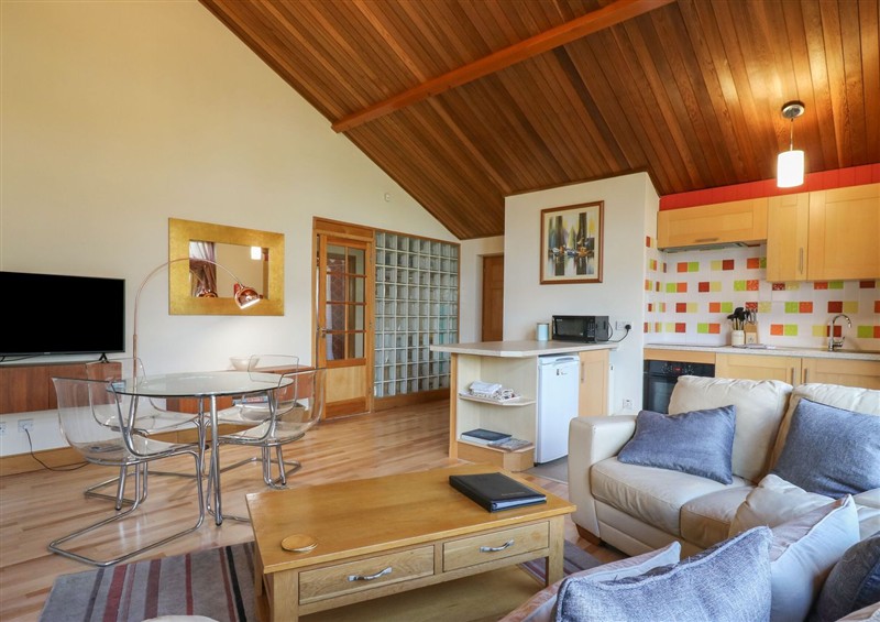 The living room at Studio Cottage, Surlingham near Poringland