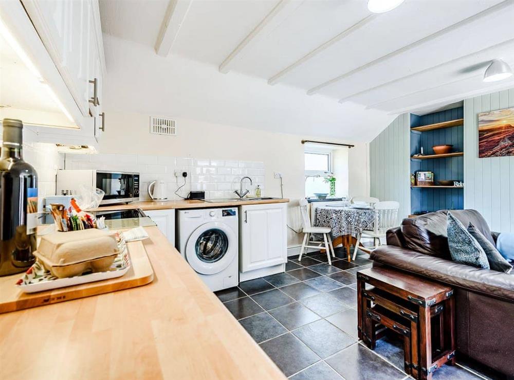 Open plan living space at Studio Cottage in Treffynnon, Dyfed