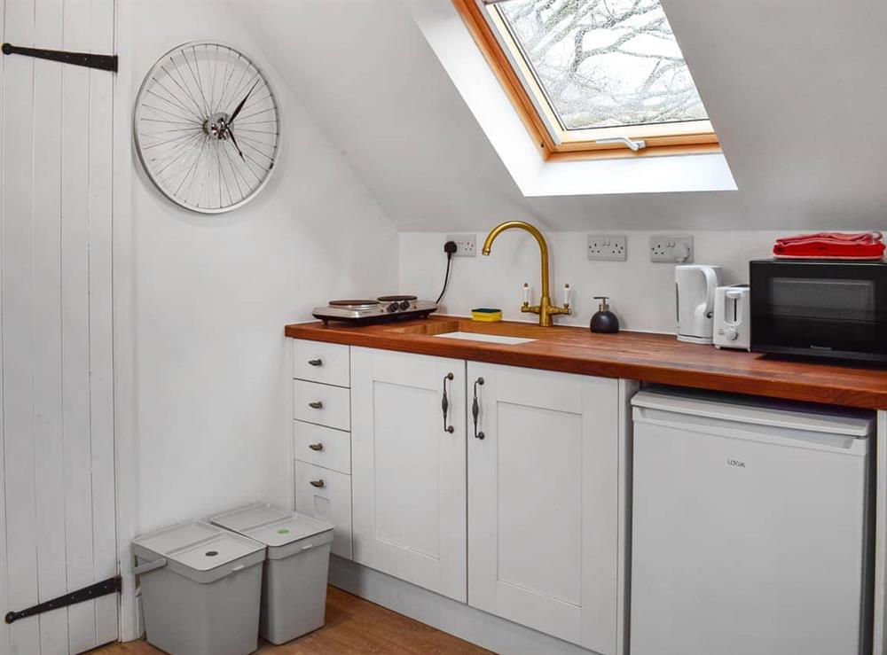 Kitchen area at Studio Flat in Lewes, East Sussex