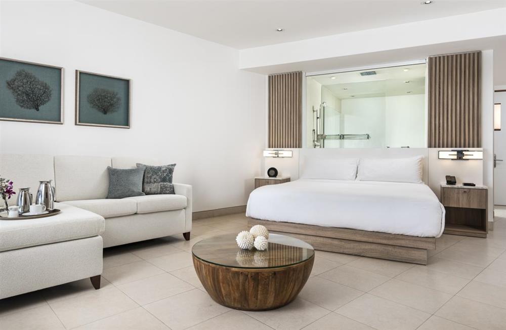Studio Oceanfront (photo 5) at Studio Oceanfront in Turks and Caicos, Caribbean