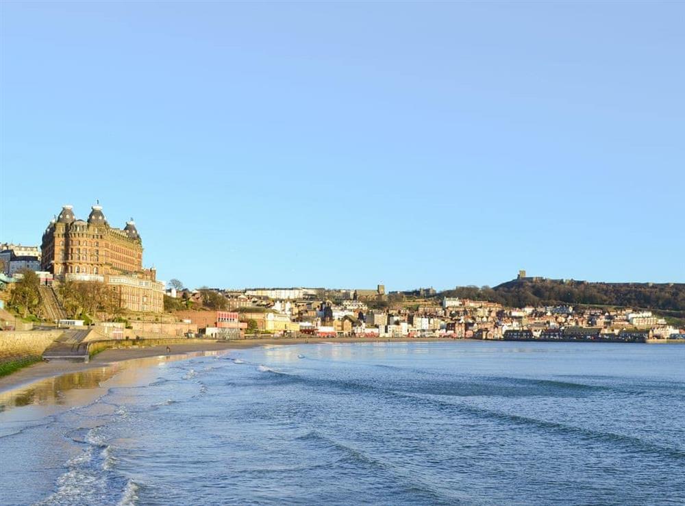 Scarborough at Swallowtail Cottage, 
