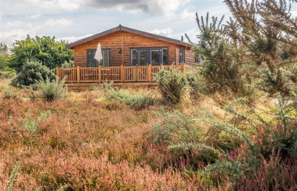 Set within 300 acres of woodland and open heathland, an Area of Outstanding Natural Beauty