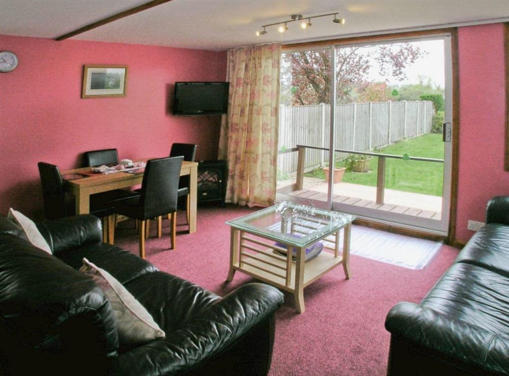 Open plan living/dining room/kitchen (photo 3) at Summer Time in Brundall, near Norwich, Norfolk