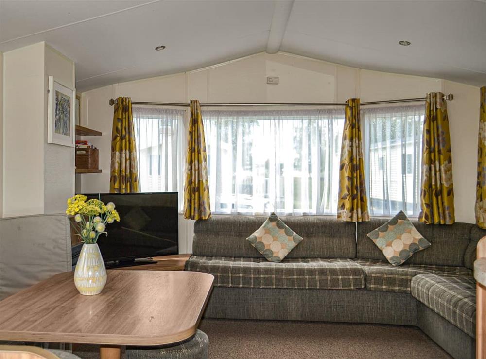 Living room at Summer Willow Lodge in Tattershall, near Horncastle, Lincolnshire