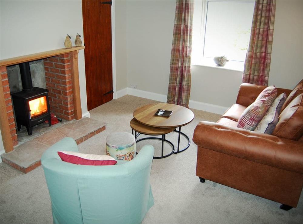 Cosy living/dining room with wood burner at Summergate Cottage in Annan, Dumfriesshire