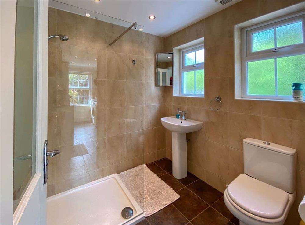 En-suite at Summerhill Cottage in Narberth, Dyfed