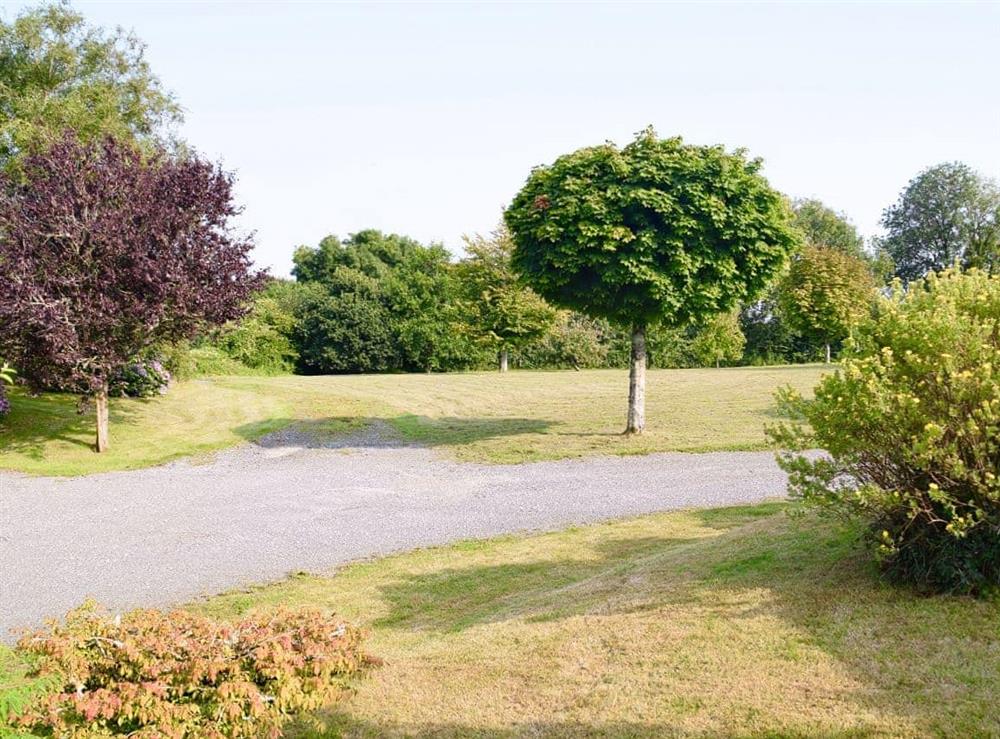 Garden at Summerhill Cottage in Narberth, Dyfed