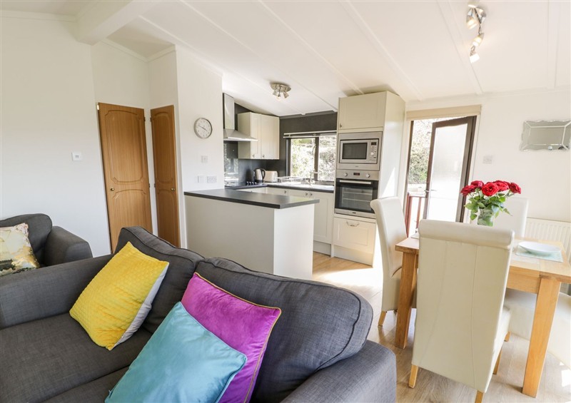 Relax in the living area at Summertime Lodge, Rhyd-y-Foel near Abergele