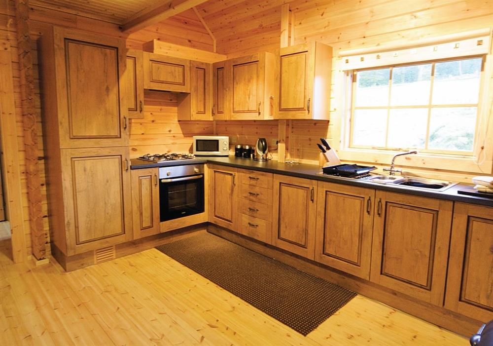 Sun Rise Lodge kitchen at Sun Rise Lodge in Llanbedr, Gwynedd