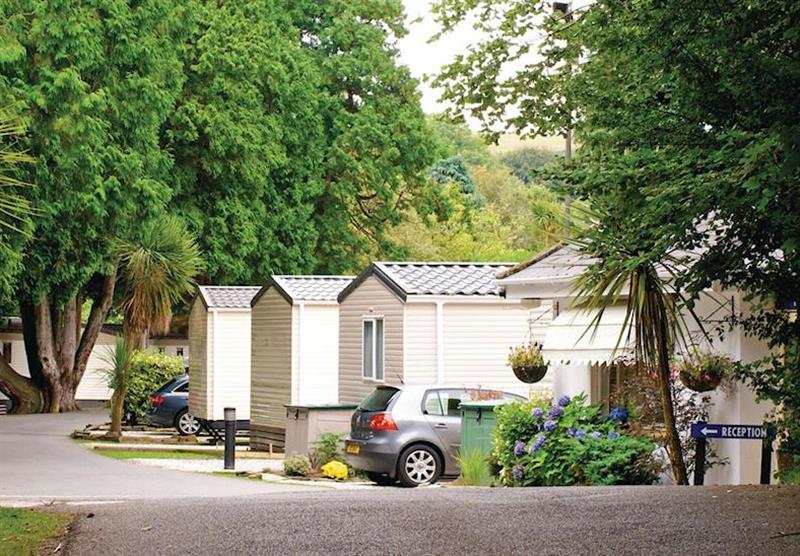 The park setting (photo number 3) at Sun Valley Holiday Park in St Austell, Cornwall