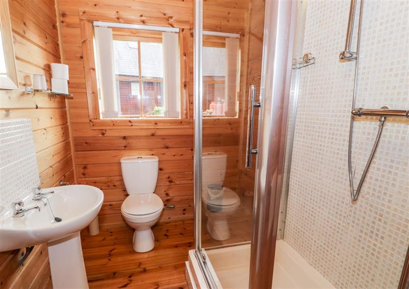 Bathroom at Sun View Lodge, Llanbedr