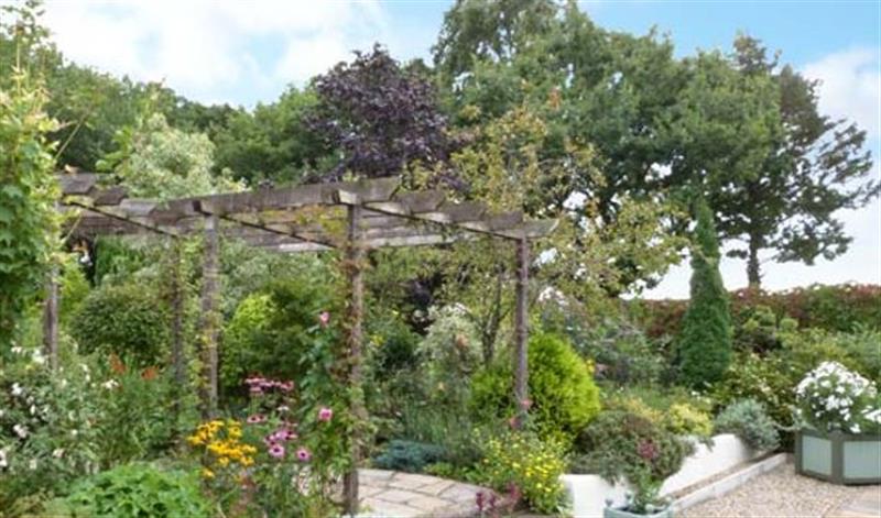 The garden at Sunbeck Gatehouse, Easingwold