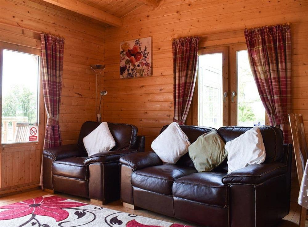 Living room at Robin Lodge, 