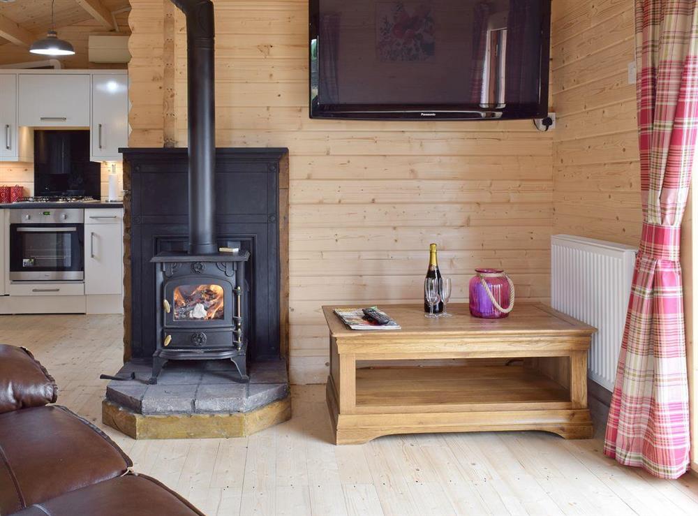 Wood-burner in open-plan room at Robin Lodge, 