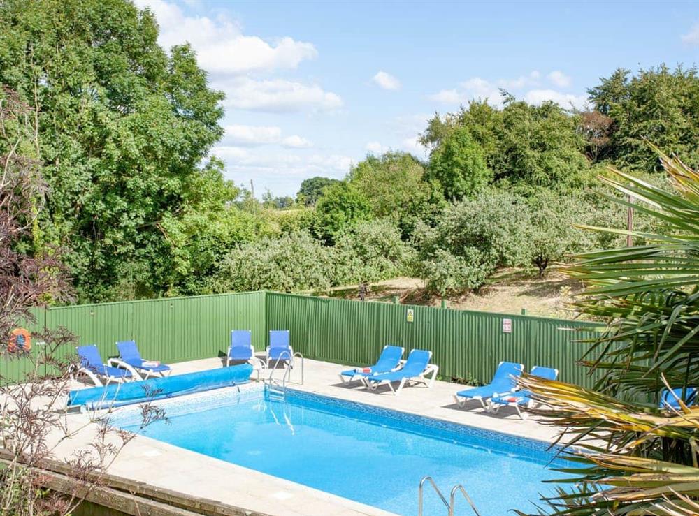 Shared swimming pool at Sundance in Cheriton Bishop, Devon