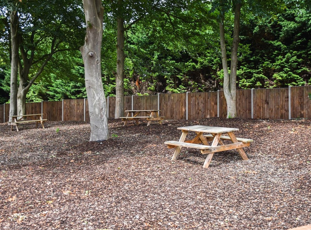Outdoor (photo 6) at Sunflower Bungalow in Little Dunham, near Kings Lynn, Norfolk