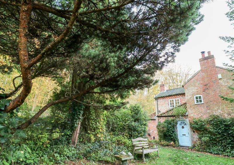 Enjoy the garden at Sunny Cottage, Grantham