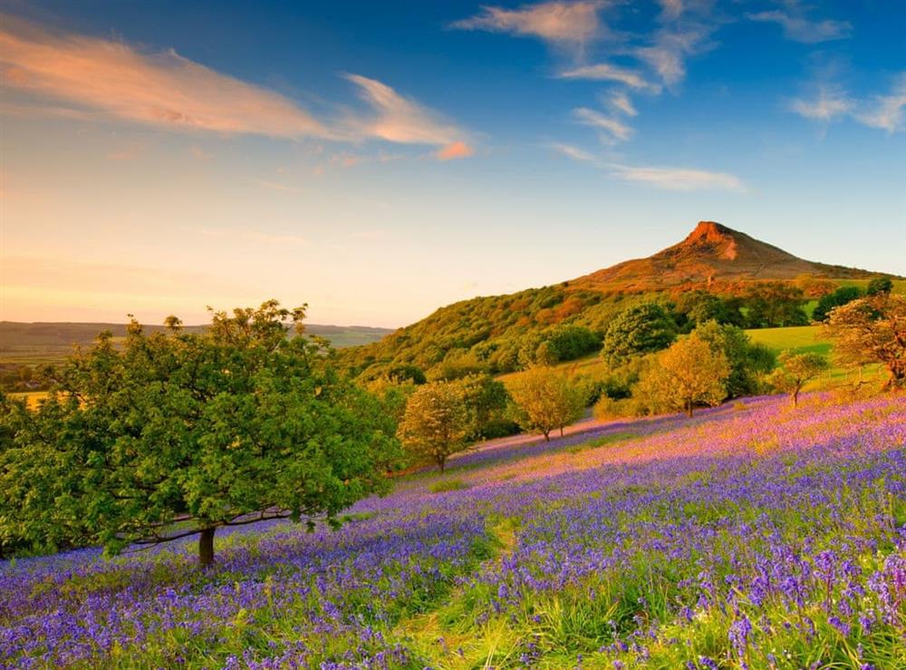 Roseberry Topping North York Moors National Park at Sunny Cottage in Welburn, near York, North Yorkshire