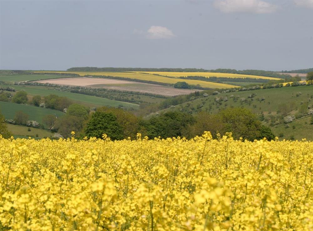 The Yorkshire Wolds at Sunny Cottage in Welburn, near York, North Yorkshire