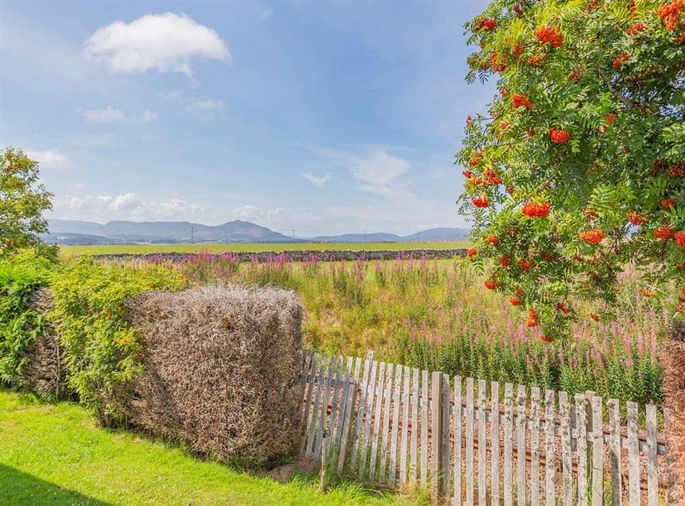 Garden at Sunny Firth in Tain, Ross-Shire