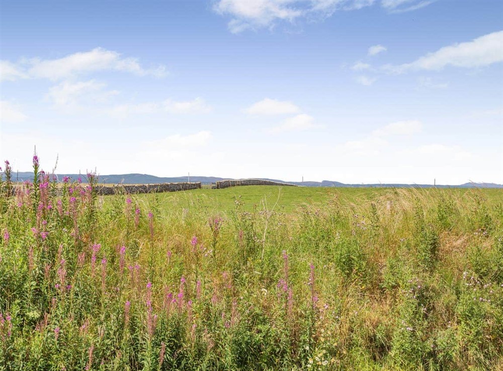 Surrounding area at Sunny Firth in Tain, Ross-Shire