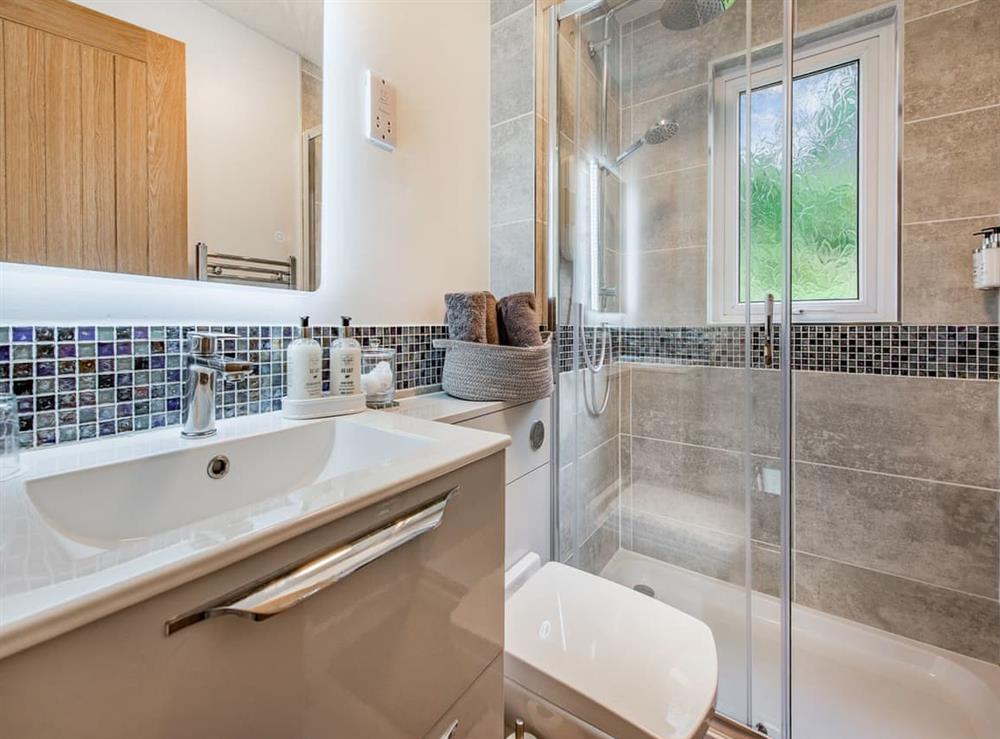 Shower room at Sunnybank in Freshwater East, near Pembroke, Dyfed