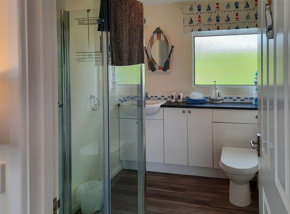 Shower room at Sunnydaze Chalet in Dartmouth, Devon