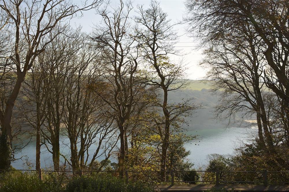 The views from Sunnylodge through the trees towards the estuary at Sunnylodge in , Salcombe