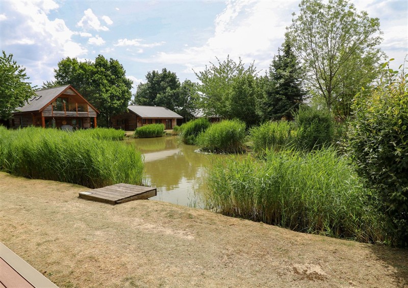 This is the garden at Sunnyside Lodge, Thorpe-On-The-Hill