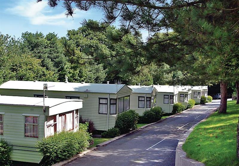 A photo of Brampton Lodge at Sunnyvale Holiday Park